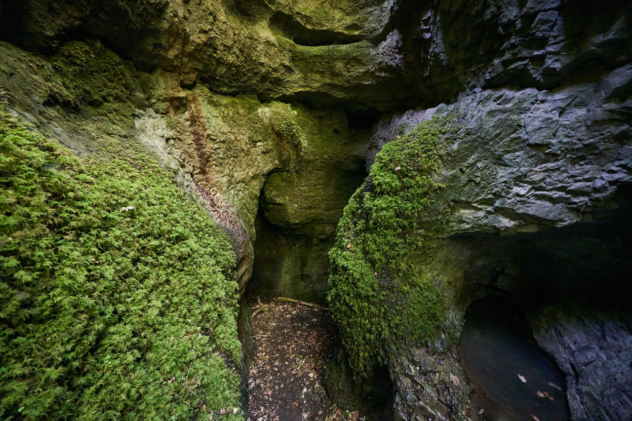 Sentier karstique des Malrochers à Besain, près de Poligny 03